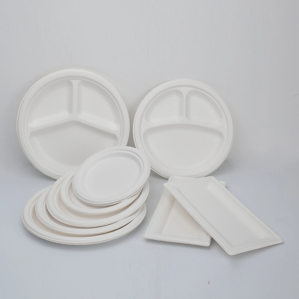 La bagasse de canne à sucre de grade alimentaire biodégradable plaques jetables de canne à sucre pâte à papier de bambou bio dégradables pour partie compostable plat