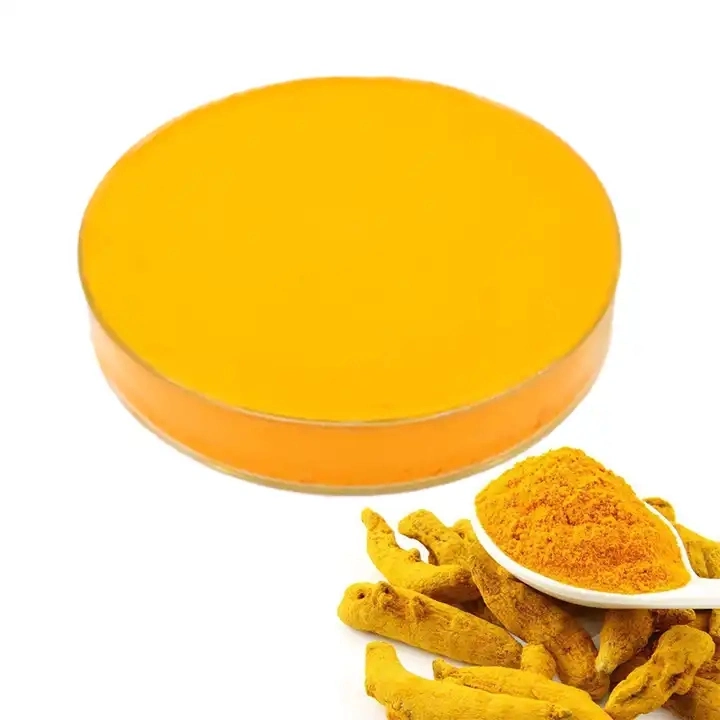 High Purity Food Additive Curcumin Turmeric Pigment for Food Coloring