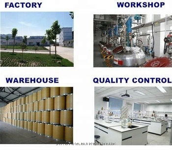 Plant Tissue Culture 2IP Plant Growth Regulators Hormones