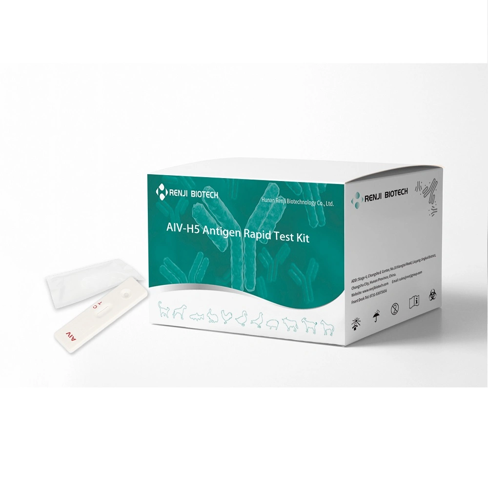 Animal Disease Prrsv-U Porcine Reproductive and Respiratory Syndrome Virus PCR Test Kits 48 Test