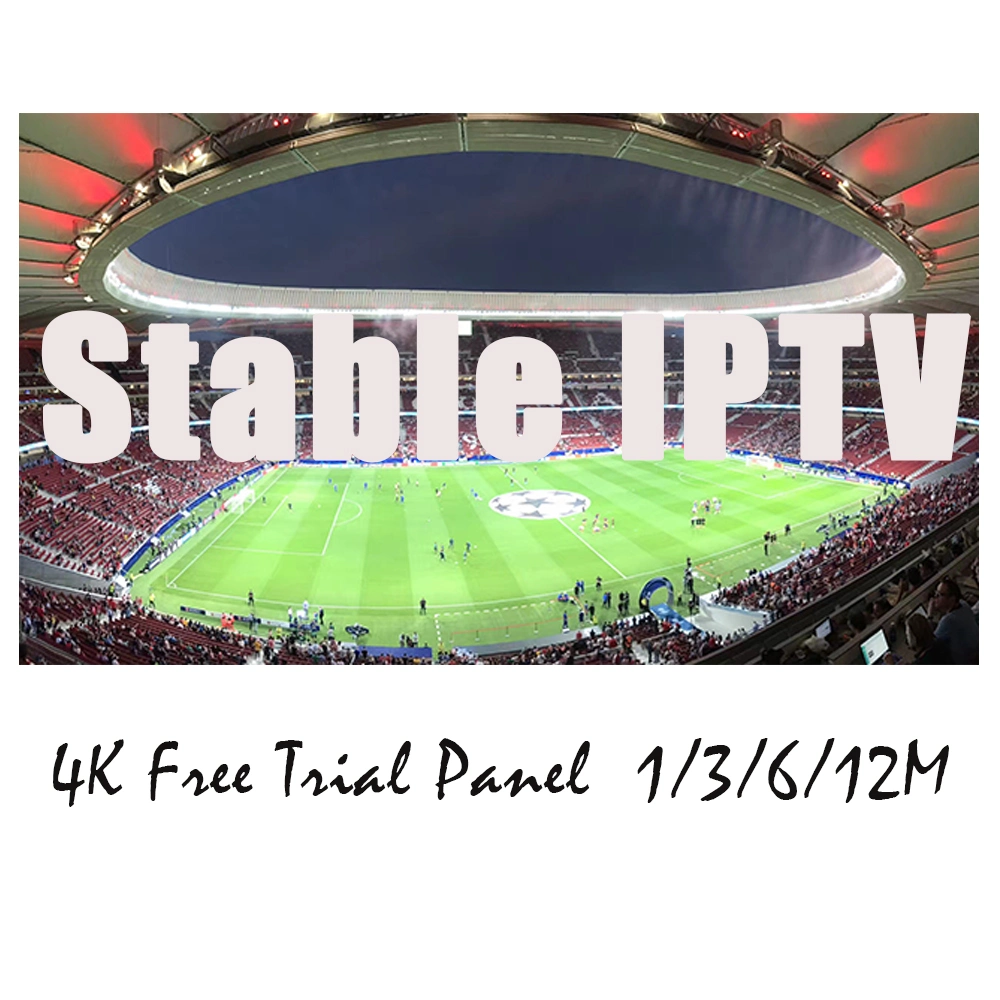 Stable IPTV 12 Months Code 4K Channels Europe Reseller Panel Arabic Dutch Greece Denmark Italy Radio Spain Brazil IPTV M3u Link