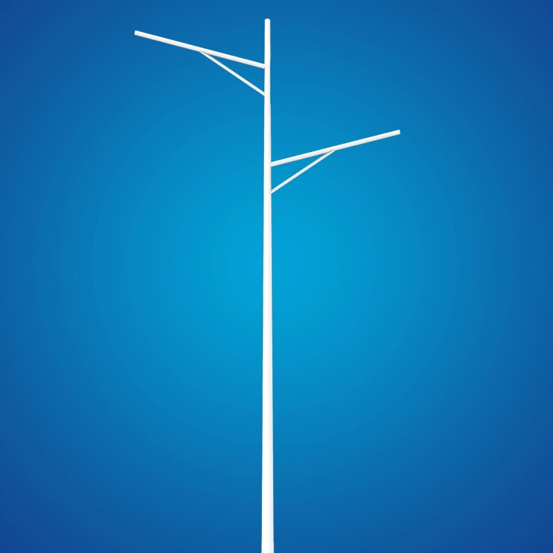 9m 10m 11m 12m High quality/High cost performance Hot DIP Galvanized Street Lighting Pole Lamp Post with 100W LED Lamps