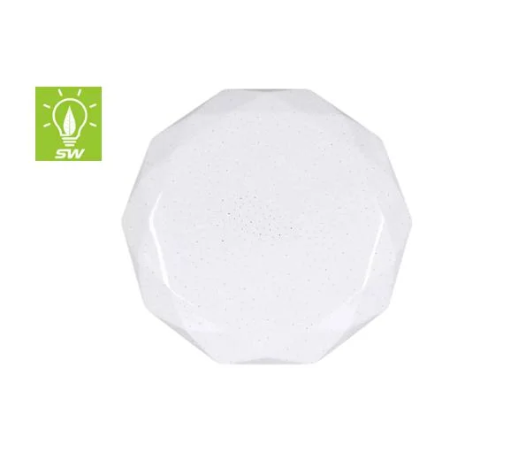 Energy Saving WiFi bluetooth Smart 24W New Designed Ultra Thin IP54 IP20 High Power Iron Chasis PVC/PS LED Light Indoor Modern Dimmable Ceiling Light