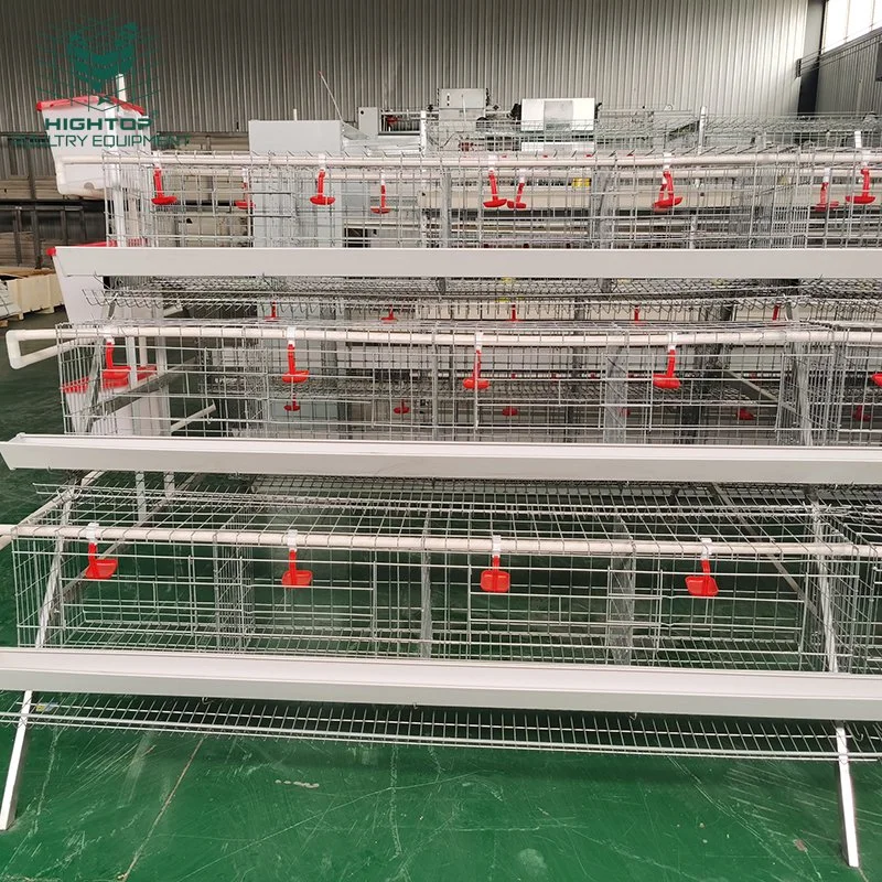 Poultry Farm Dimension for 1000 Chicken Layer Cage Guangzhou