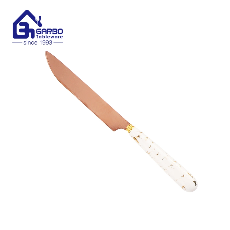8 Inch Stainless Steel Kitchen Steak Knife with Ceramic Handle