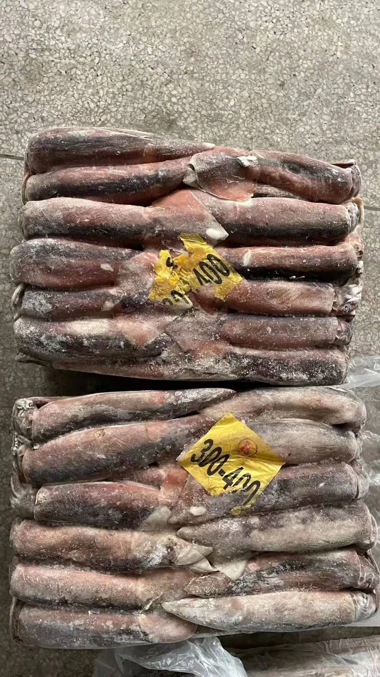 Taiwan Origin Unfixed Weight Illex Squids Frozen Whole Price Argentina Squid