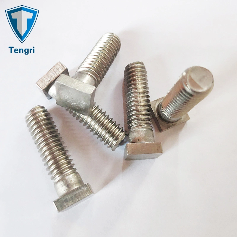 Special Fastener Square Head T Bolt Hanger Bolt Hand Bolt Stainless Steel