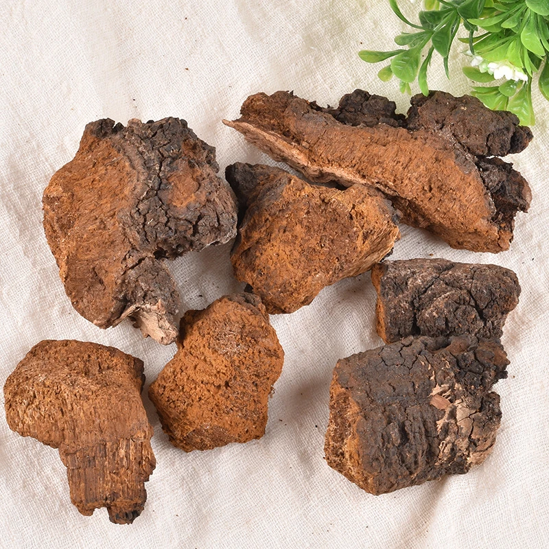 Bai Hua Rong Chinese Medicine Herb Wild Yellow Russian Chaga Mushroom Chaga Chunks