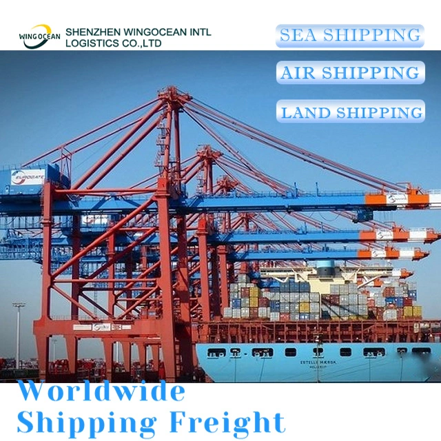 China International Cooperate Logistics Best Supplier Shipping From China to Australia