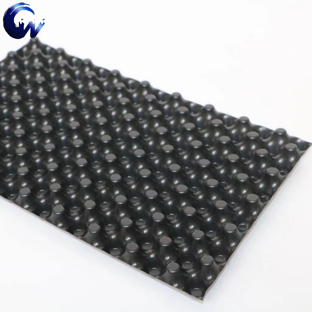 Draining Water Is Mainly Used for Park Roads Plastic Drainage Board