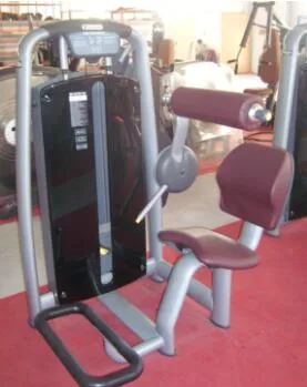 Back Extension Tz-6006 /Gym Use Fitness Machine for Sale