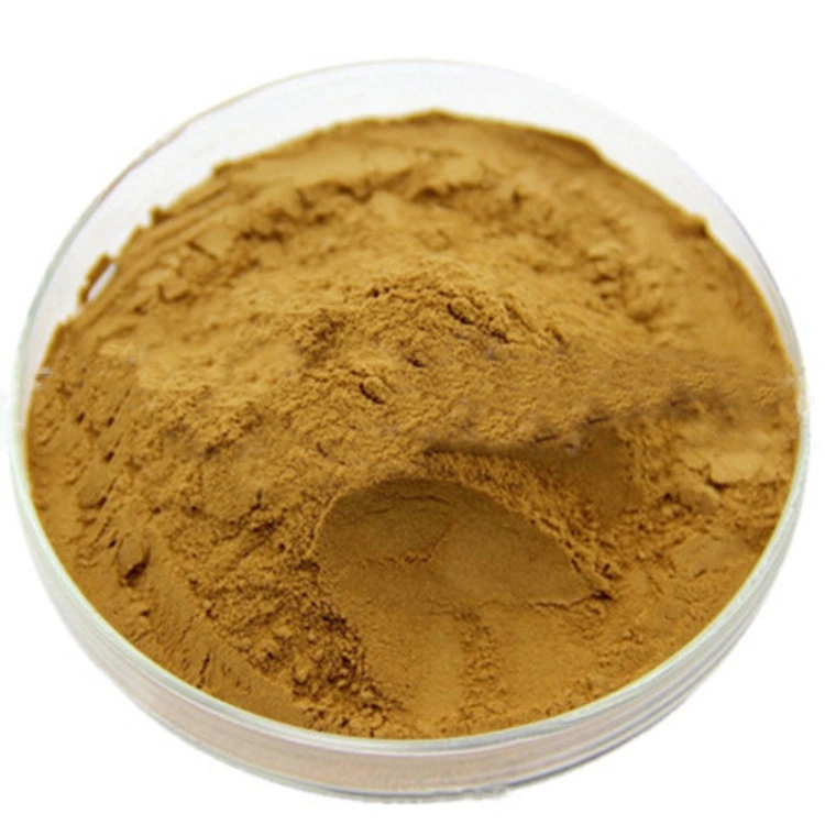 Organic 100% Pure Opuntia Ficus-Indica Prickly Pear Cactus Nopal Extract Powder