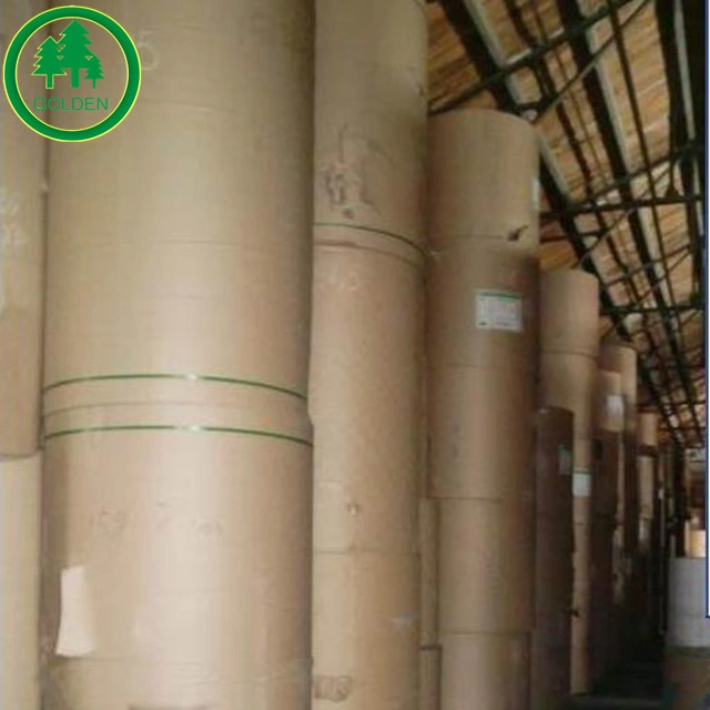 China Manufacturer Low/Medium/High Wet Strength Paper 70g 80g with Good Price