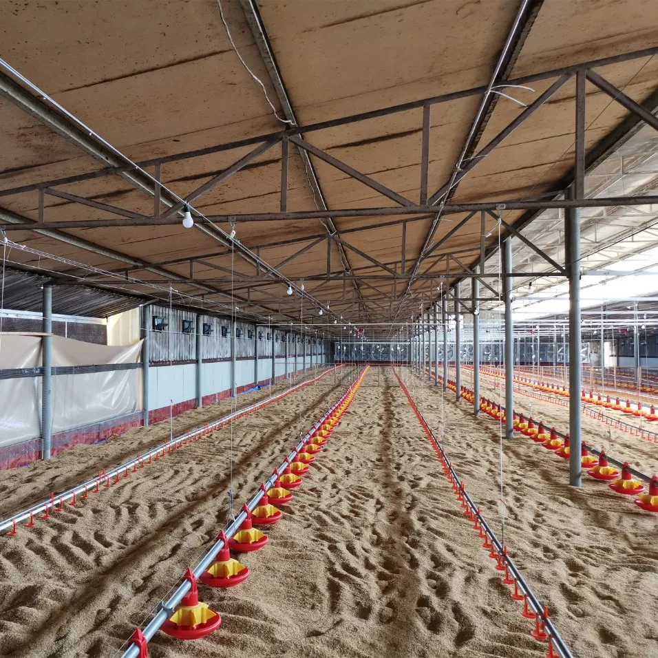 Hochwertige Automatische Chicken House Broiler Schuppen Geflügelzucht / Farm Maschine / Ausrüstung