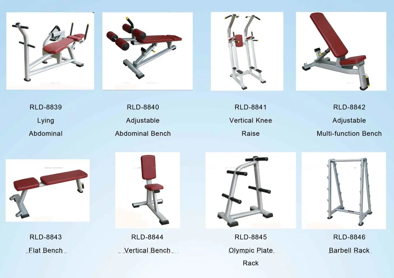 China Manufacturer Gym Equipment Chest Press/Fitness Equipment Adjustable Roman Chair for Gym