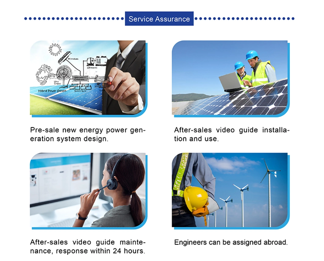 3kW Custom Photovoltaic Charger MPPT Wind Solar Hybrid Controller