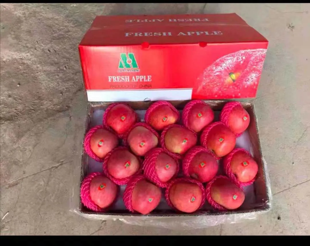 Fresh New Crop Chinese Wholesale/Supplier Premium Quality FUJI Apple Full Red Color