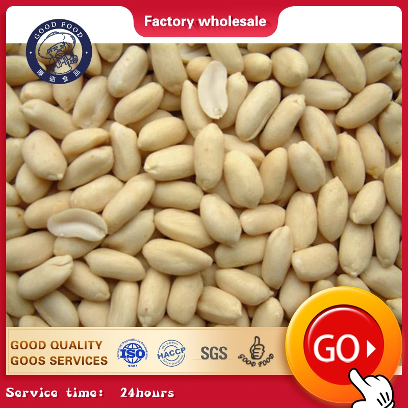 Natural Blanched Kernel Peanut with Skin AAA Gradeblanched Peanut Kernel