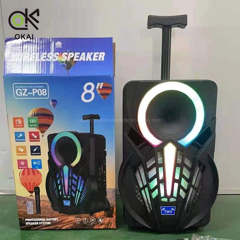 New Design Outdoor 8inch Portable Sound Equipment Wireless Bluetooth Trolley Speaker