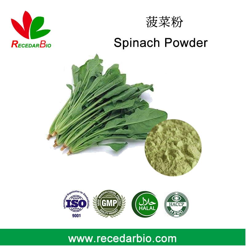 100% Natural Spray Drying Vegetable Powder Spinach Powder