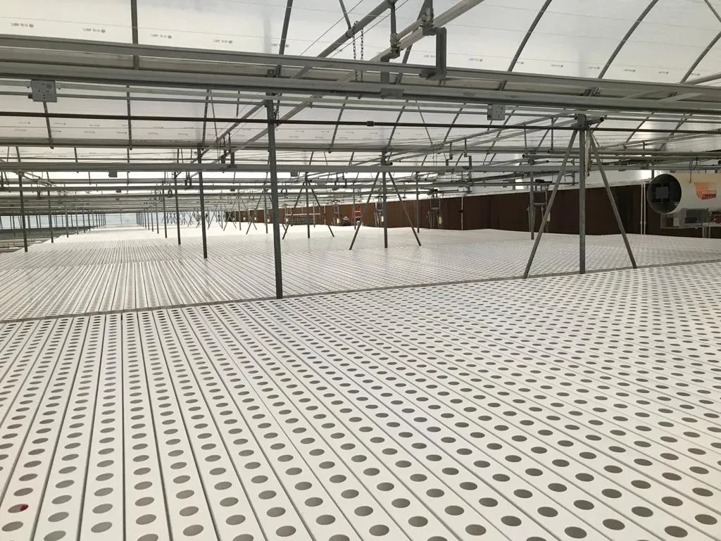 Invernadero equipos agrícolas sistema hidropónico vertical para la plantación de hierbas saladas