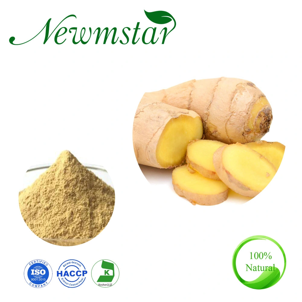 Ginger Extract Herbal Extract Plant Extract Powder Zingiber Officinale