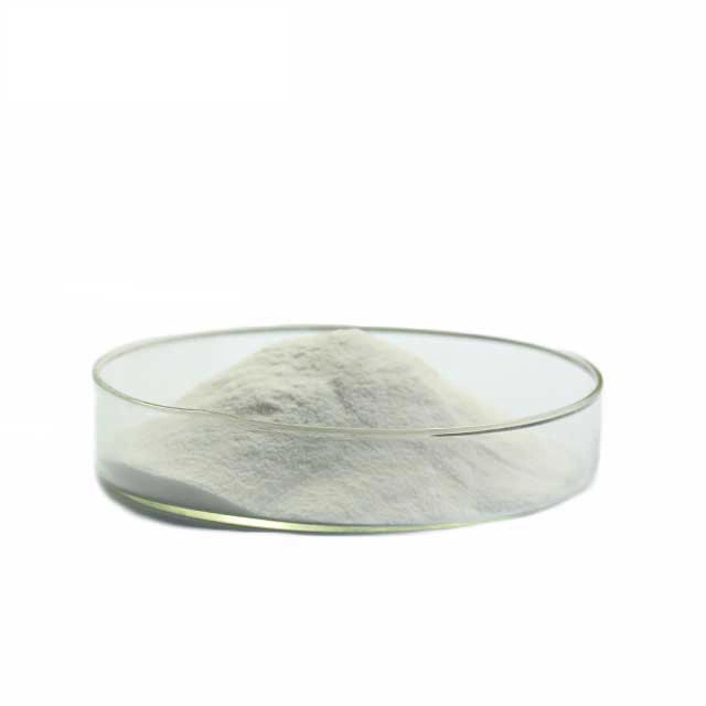 Top Sale Agriculture Chemical Gibberellic Acid 10% Sp