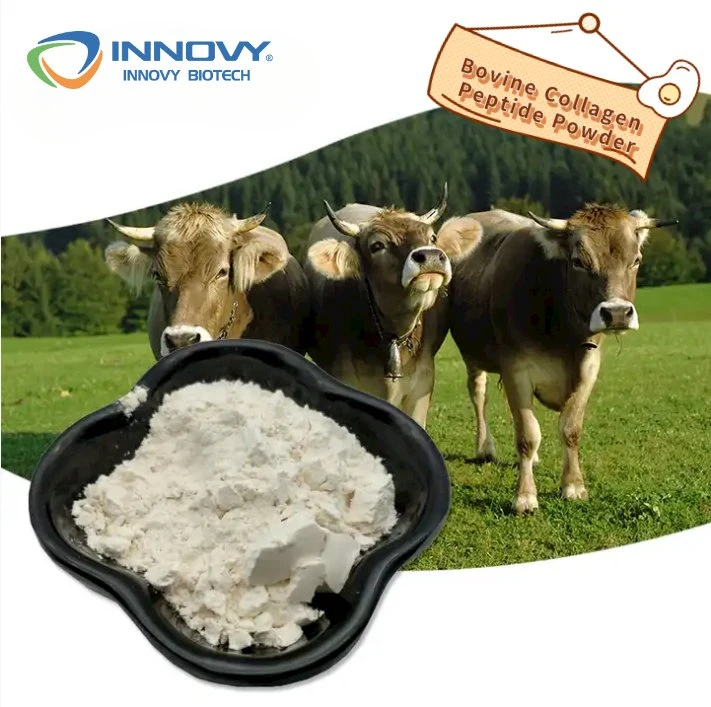 Original Factory Direct Cheap Price High quality/High cost performance Bovine Collagen Peptide Powder