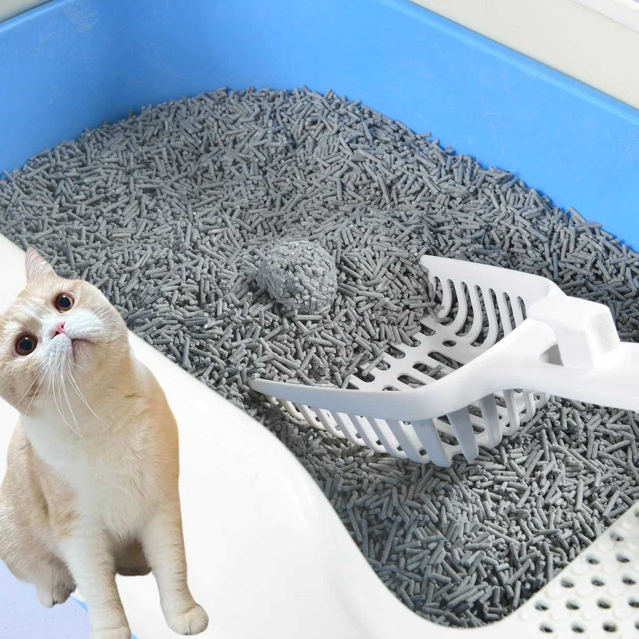 Natural Quickly Clumping and Highly Absorbent Tofu Cat Litter Manufacturer