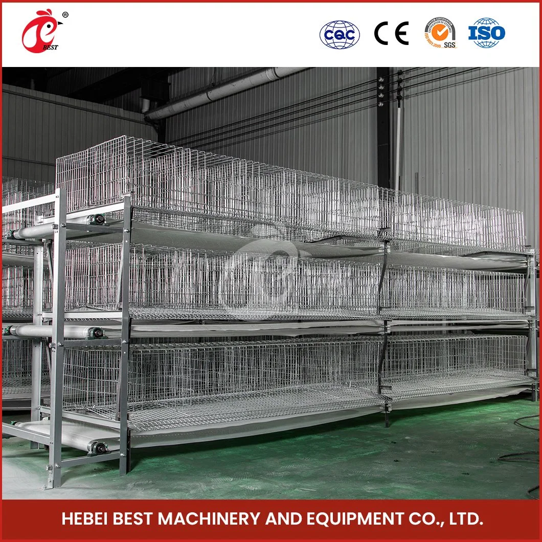 Bestchickencage H Type Automatic Pullet Cage China Plastic Pullet Hen House Manufacturing Free Sample Applicable Chicken Farm Pullet Chicken Coop for 10 Hens