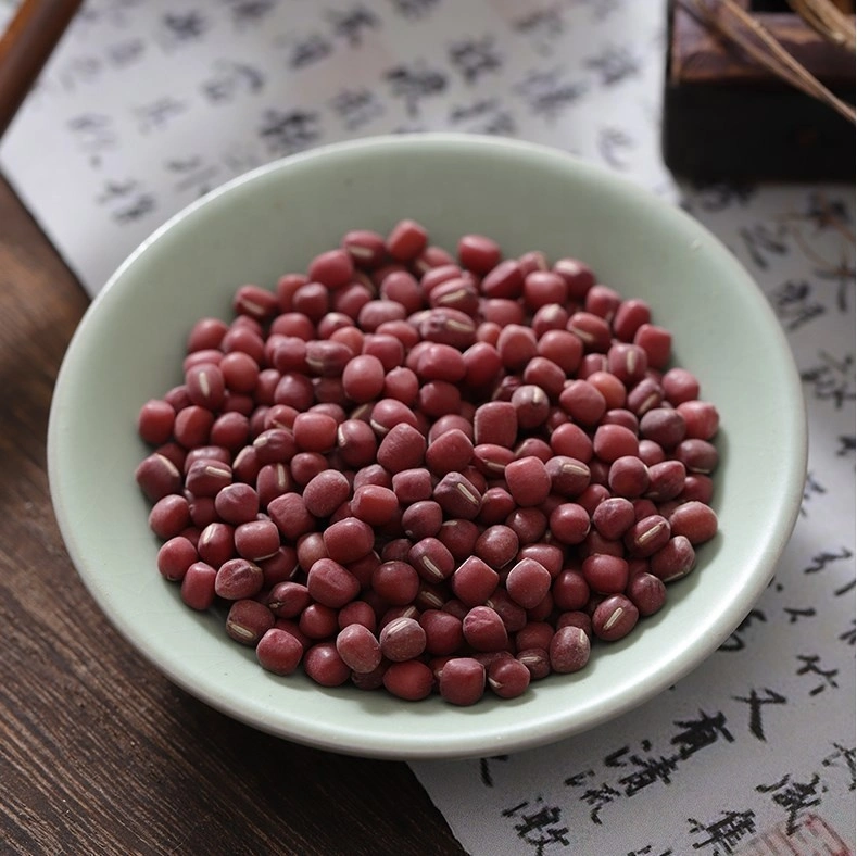 Chi Xiao Dou Chinois Herbe naturel Semen phaseoli riz séché Grain