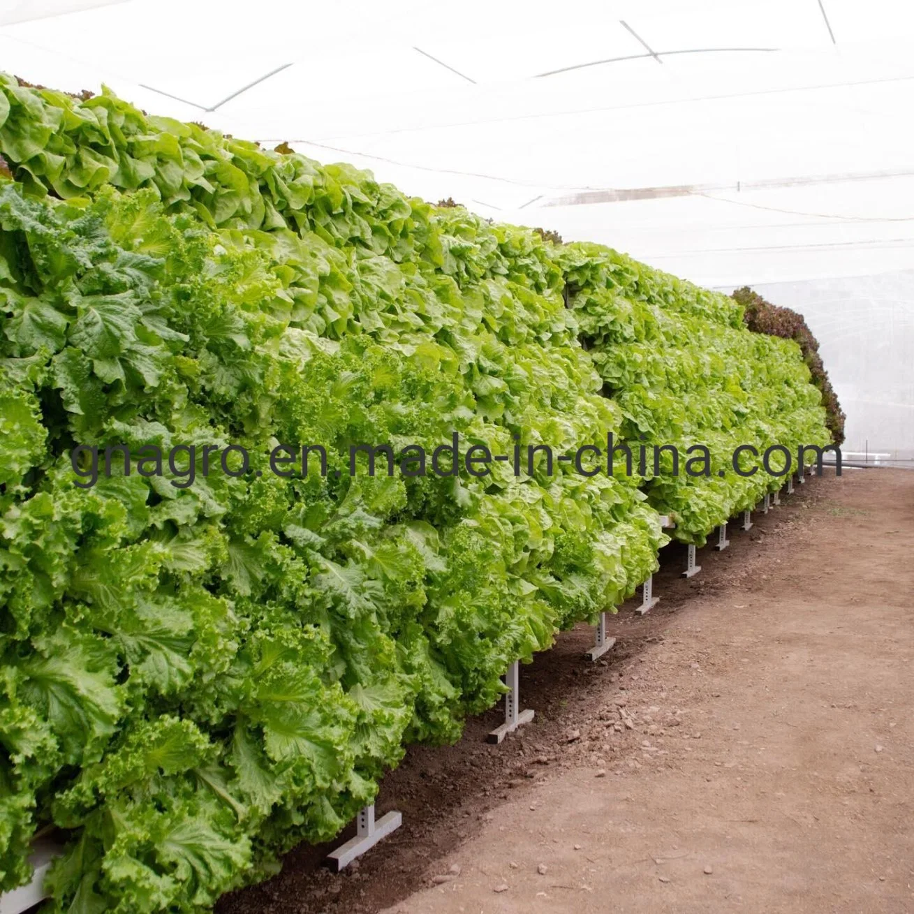 PVC Pipe Hydroponic System Agricultural Parts Greenhouses for Lettuce Vegetables