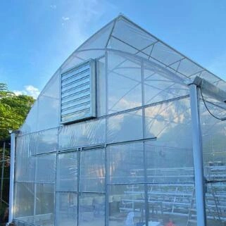 Plastic Film Greenhouse for Vegetable Lettuce with Hydroponics System