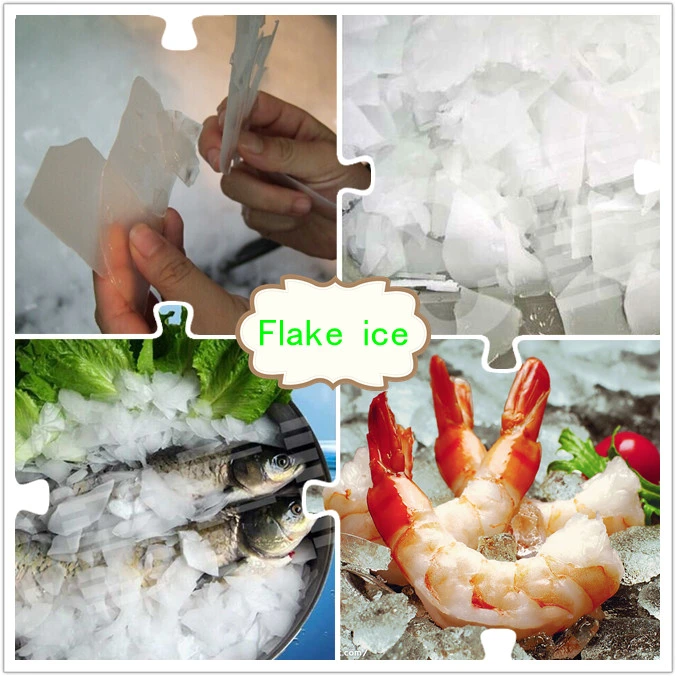 Salt Water Flake Ice Machine Used Ice Flake Machines