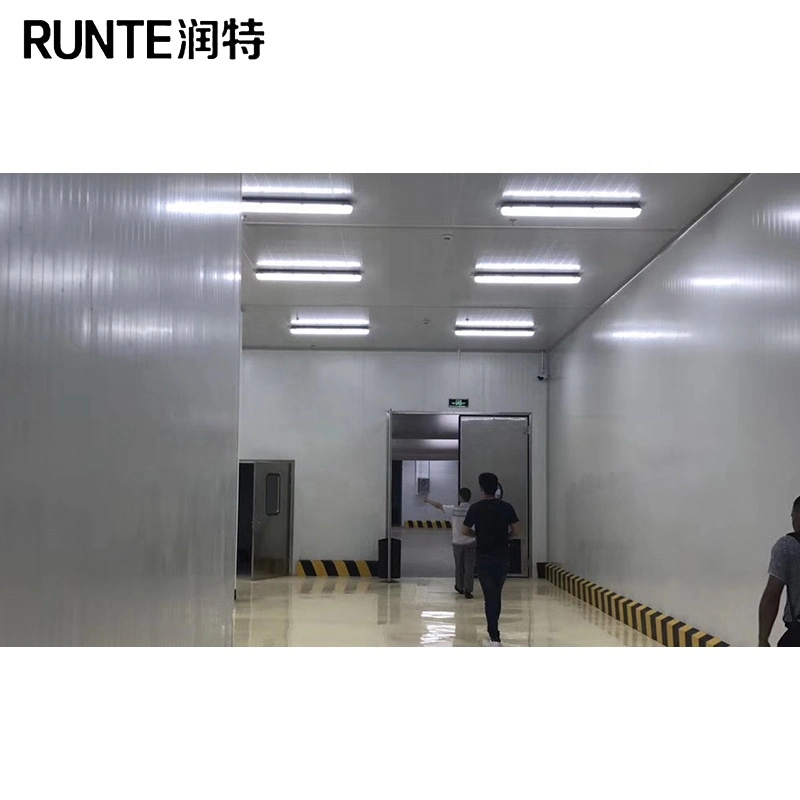 Runte Brand Factory Price Commercial Supermarket Widely Used Superior Quality Vegetables Fruit Meat Chicken Beverage Seafood Cold Room for Sale