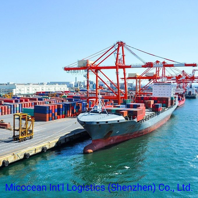 International Cheap Professional FCL/LCL Sea Freight Forwarde From China to Phnom Penh, Cambodia