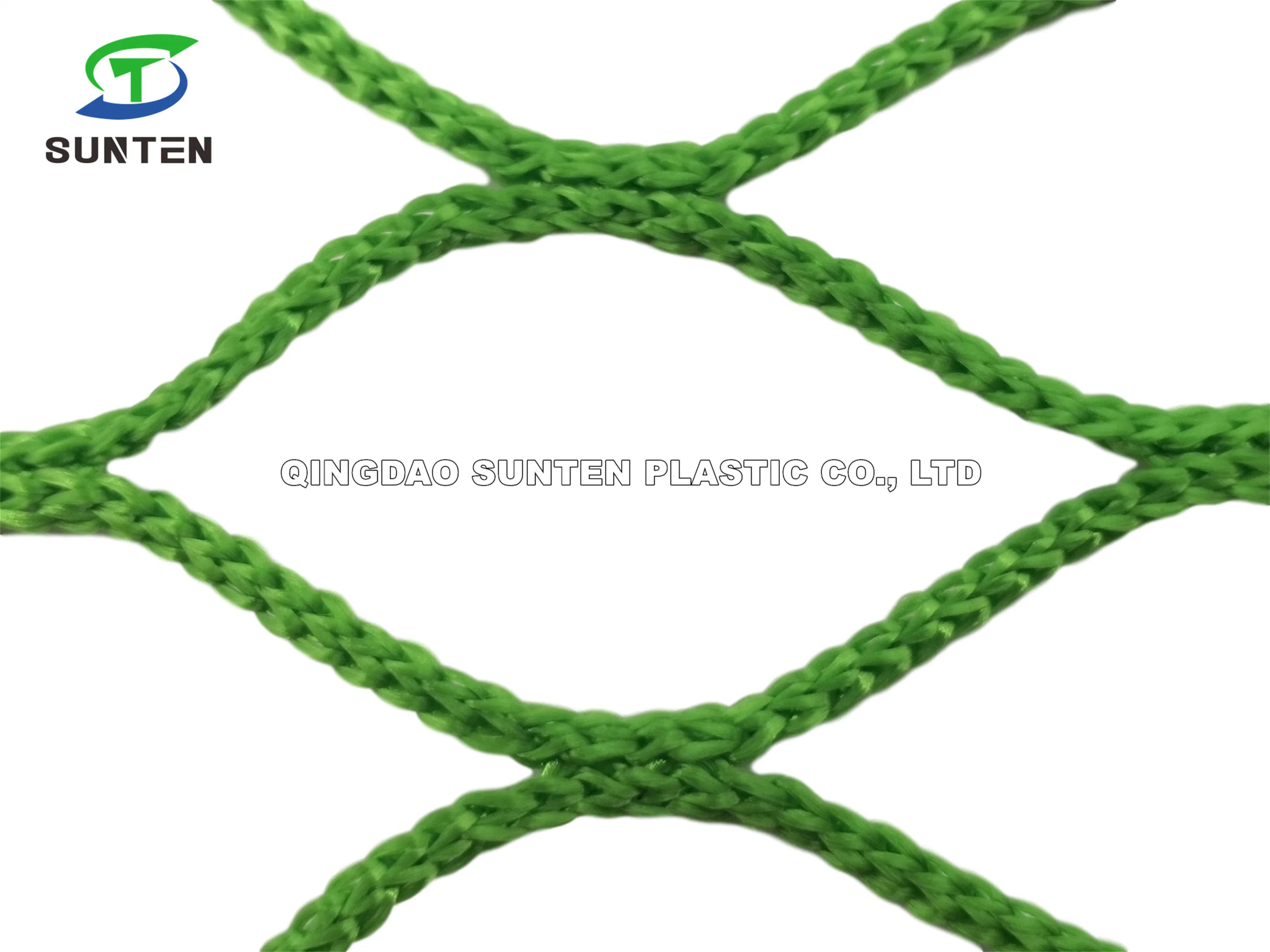 Agricultural Plastic Diamond or Hexagon Green Color Htpp/PP Knotless Cargo/Anti-Falling/Fall Arrest/Fruit Garden Protection Safety Catch Bird Net