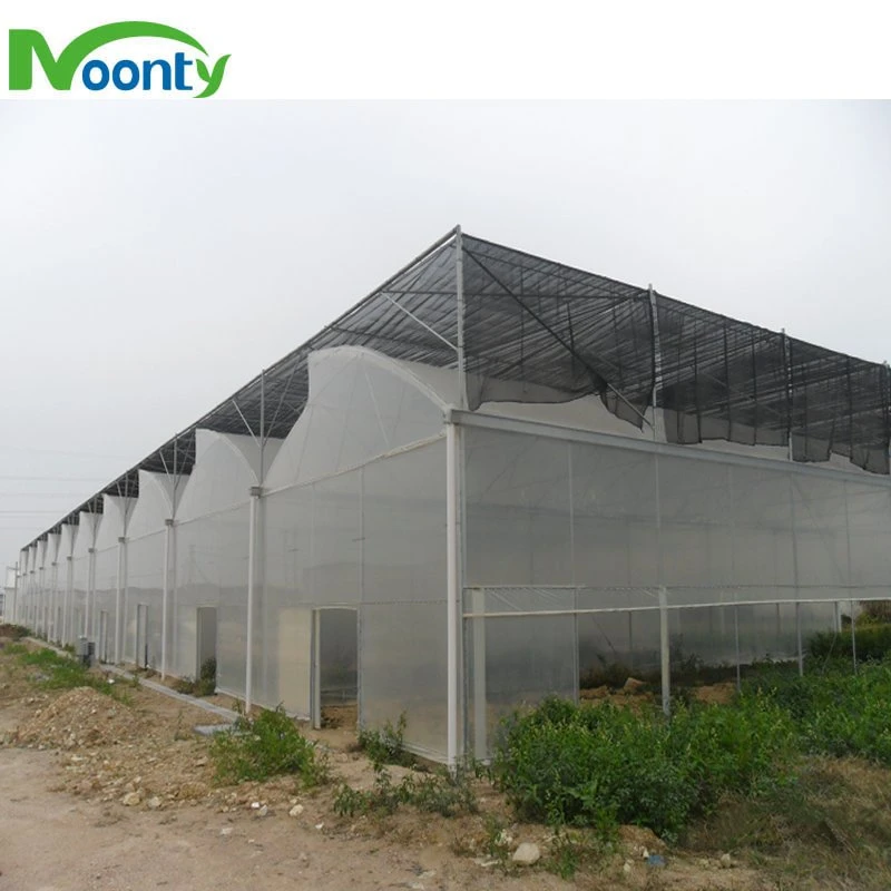 Factory Customized Turnkey High quality/High cost performance  Multispan Plastic Film Greenhouse with Hydroponics System