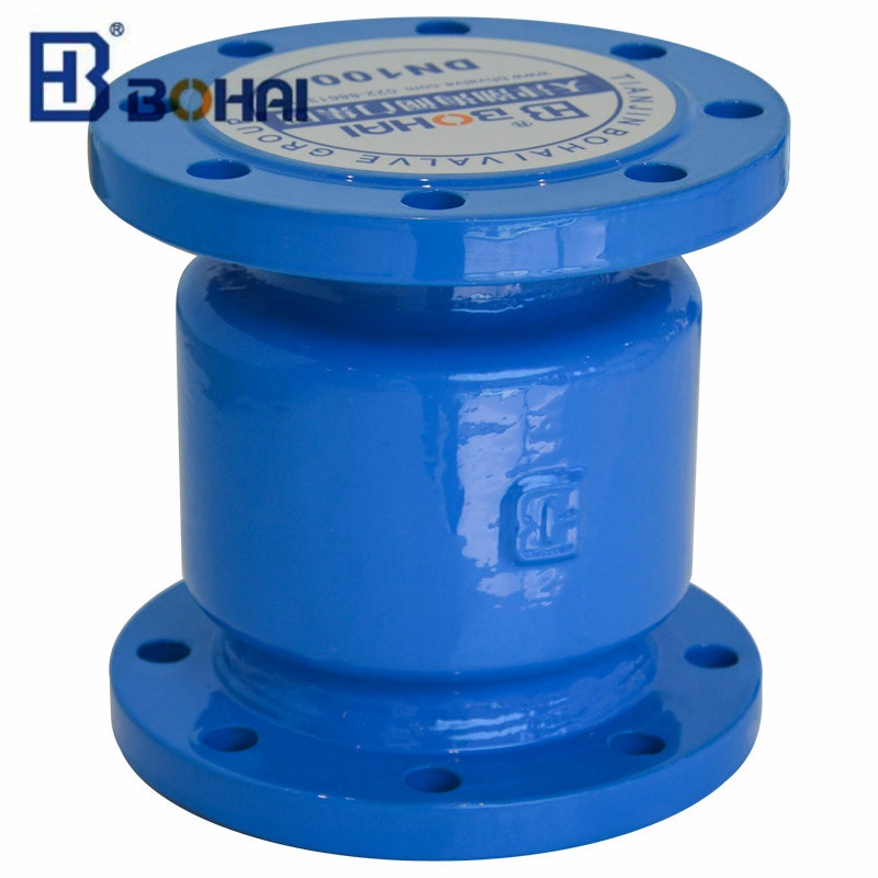 Newest Technology Flanged Silencing Check Valve DN80 with Excellent Service