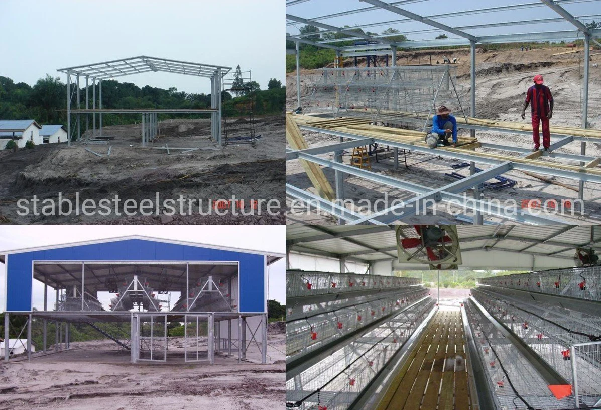 Prefabricated Frame Farm Chicken Shed Steel Structure Building Metal Prefab Poultry House