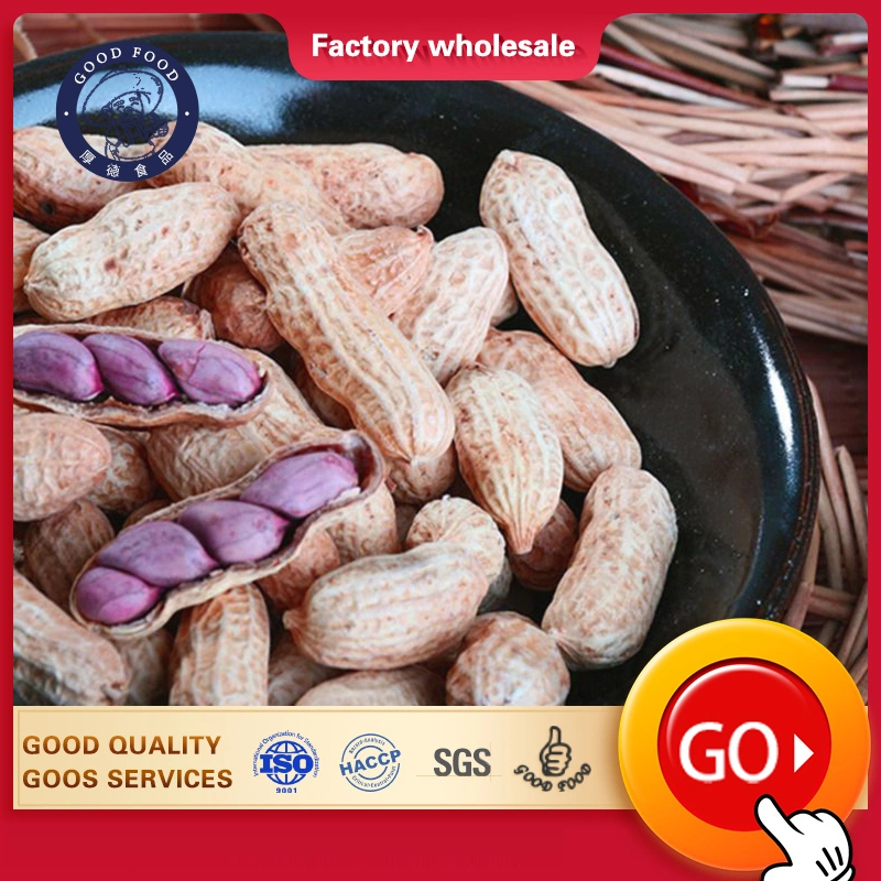 Customized Peanut Shell Exports Crop Milk Taste Roasted Peanuts