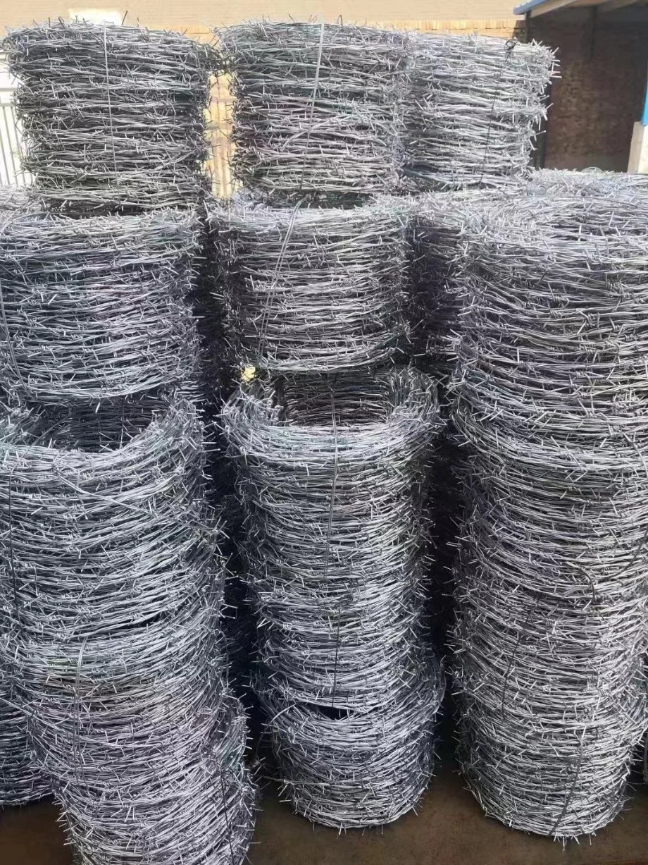 Hot Sale Galvanized or PVC Coated Barbed Wire for Fence