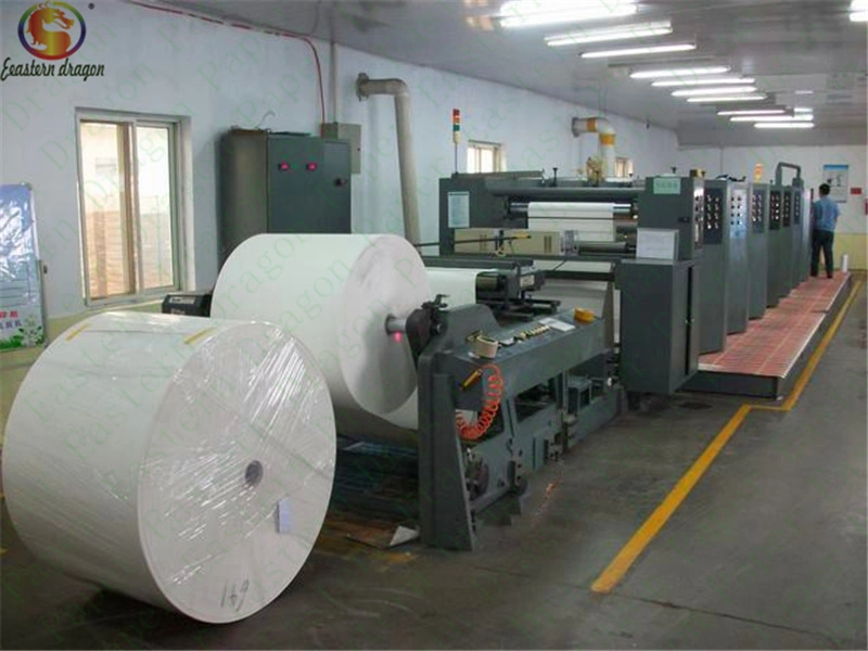 Direct Factory Customized Coffee Paper Cup Raw Material