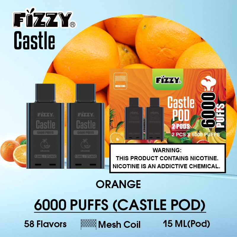 Factory Price Fizzy Castle 6000 Puff Electronic Disposable/Chargeable E Cigarette Vape Pod