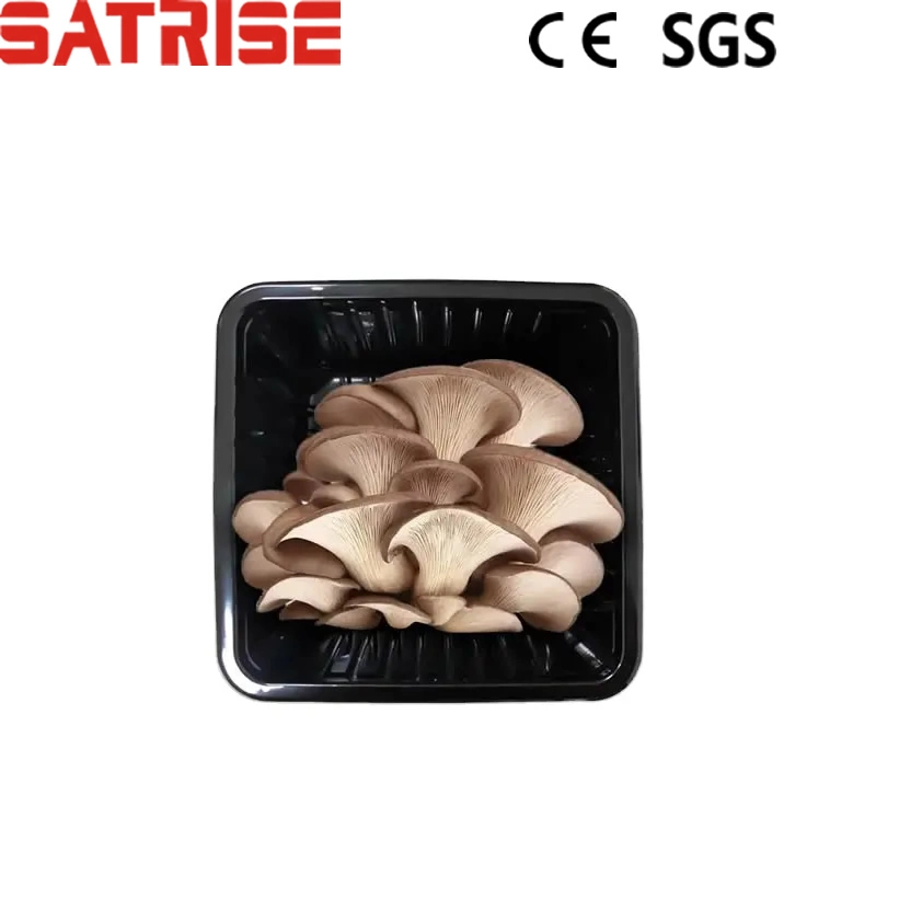 Customizable Plastic Packing Tray for Fresh Mushroom