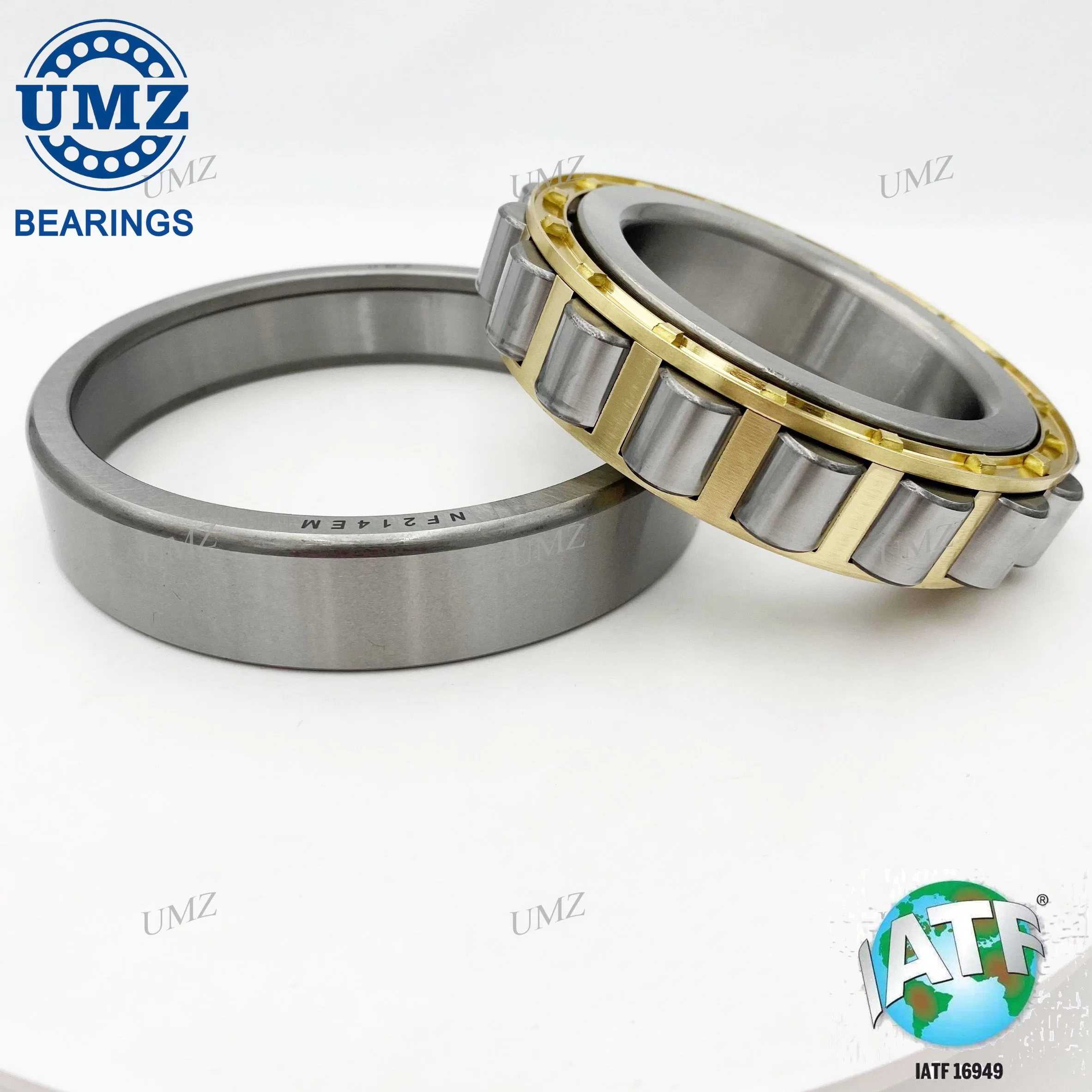 Umz Bearing NF209em NF208em NF207em NF206em Cylindrical Roller Bearing