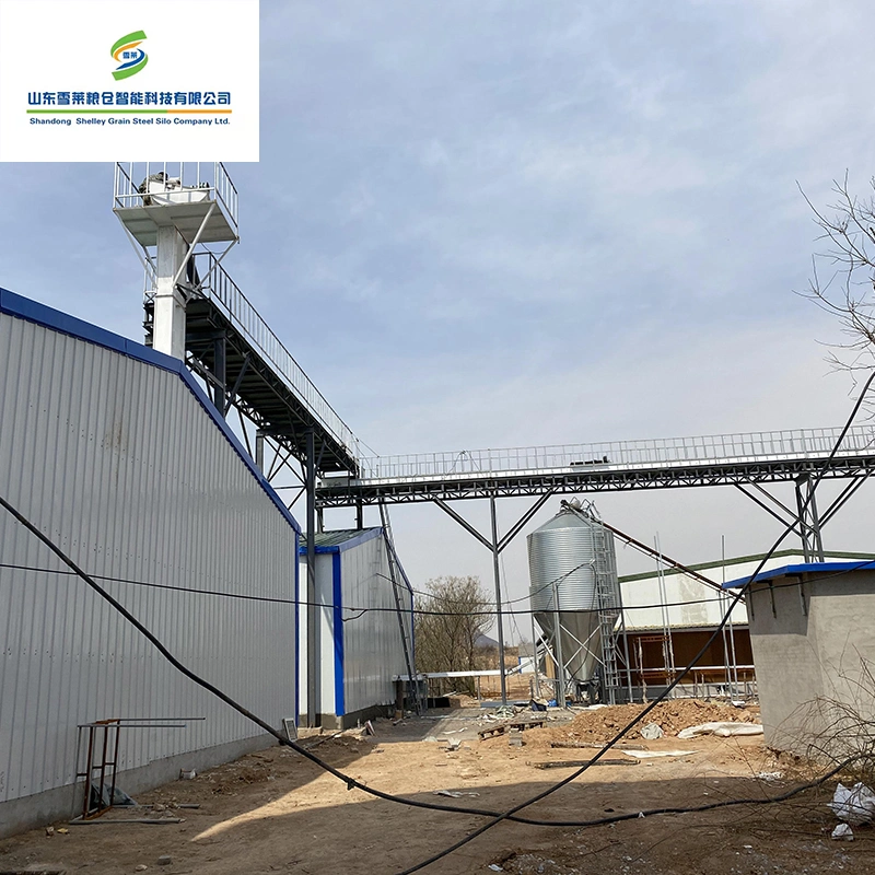 Shelley Feed Bin Cone China Feed Silo Supplier Galvanized Steel Sheet Silo for Corn Grain Poultry Feed Bins Automatic Feeding System