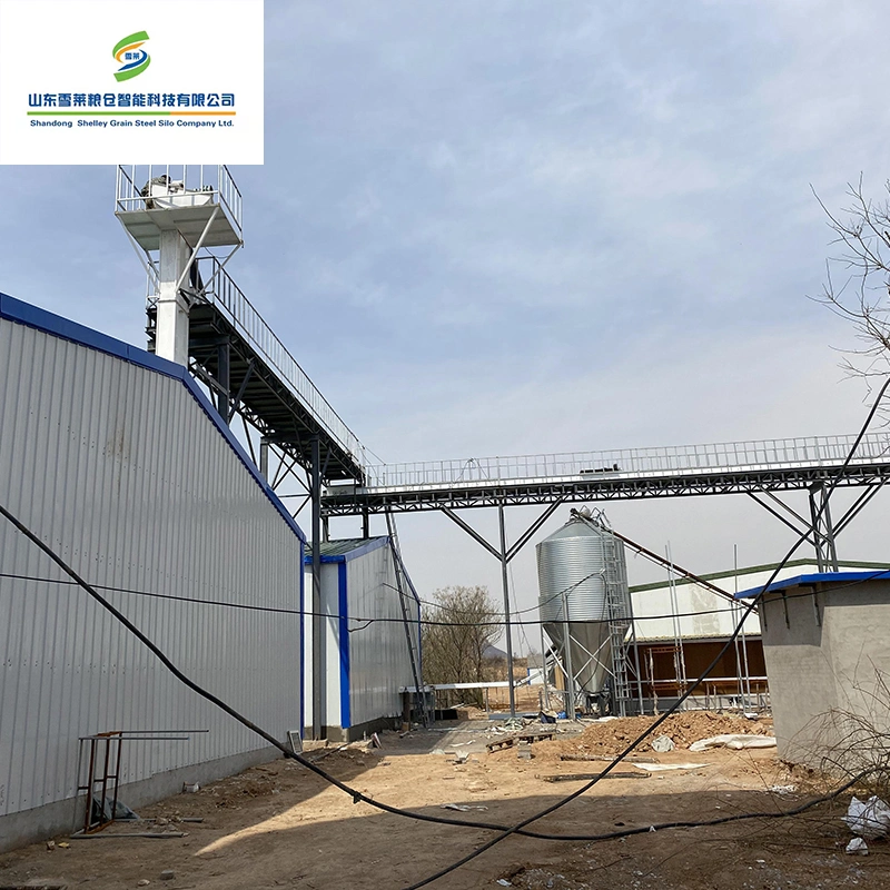 Shelley cono Bandeja de alimentación Alimentación China Hoja de acero galvanizado de proveedor de Silo Silo de grano de maíz para las bandejas de alimentación de aves de corral del Sistema de alimentación automática