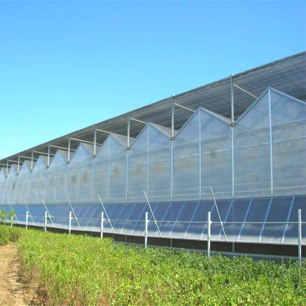 Polycarbonat Gewächshaus Vertikal Farm System Salat Hydroponic Growing Systems Gewächshaus