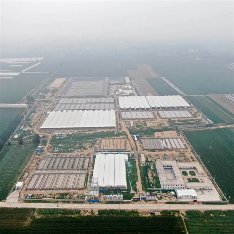 High Rigidity and Big Capacity Pig Farm